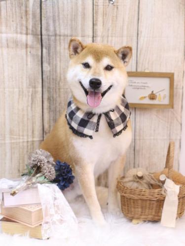 20241015ススムくん